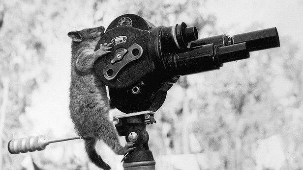 Camera+ sells 8M copies in 2 years, declines Adobe, Google, Zynga and Twitter acquisition offers