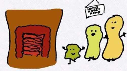 The A-to-Z of germs and diseases: Like no children’s video you’ve seen before [Video]