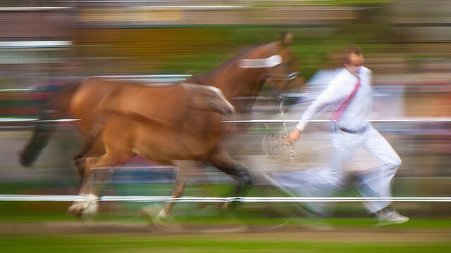 Bitly is working on an “Internet attention ranking engine” called Realtime