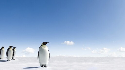 Let’s go exploring: Google Maps gets 360-degree panoramic images of Antarctica