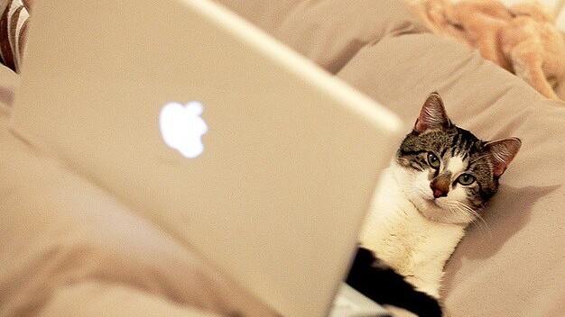 Facebook’s iOS SDK 3.0 gets faster API calls, native UI views and support for iOS 6 integration