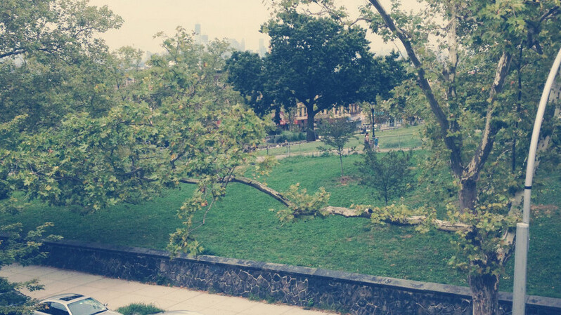 Hey developers: You can now add an Instagram-like experience right into your apps