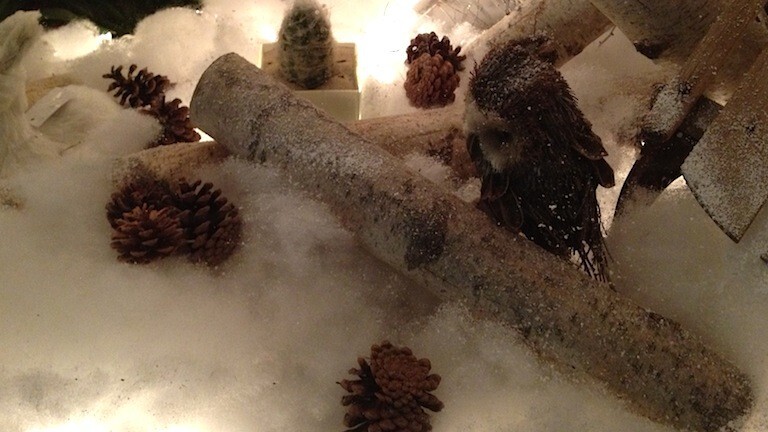 Flurry: iOS and Android devices are being adopted faster than any consumer technology in history