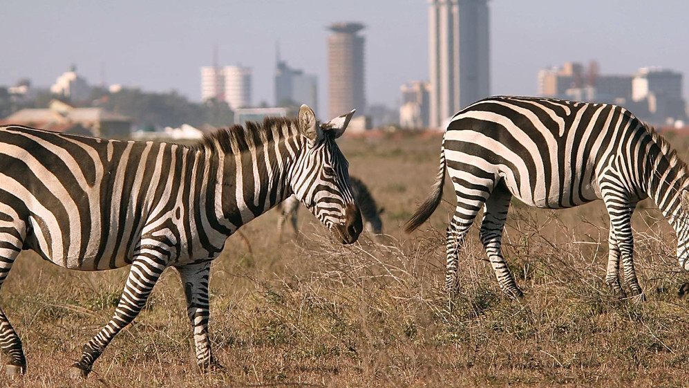 Startup Safary offers guided tours of Europe’s startup cities