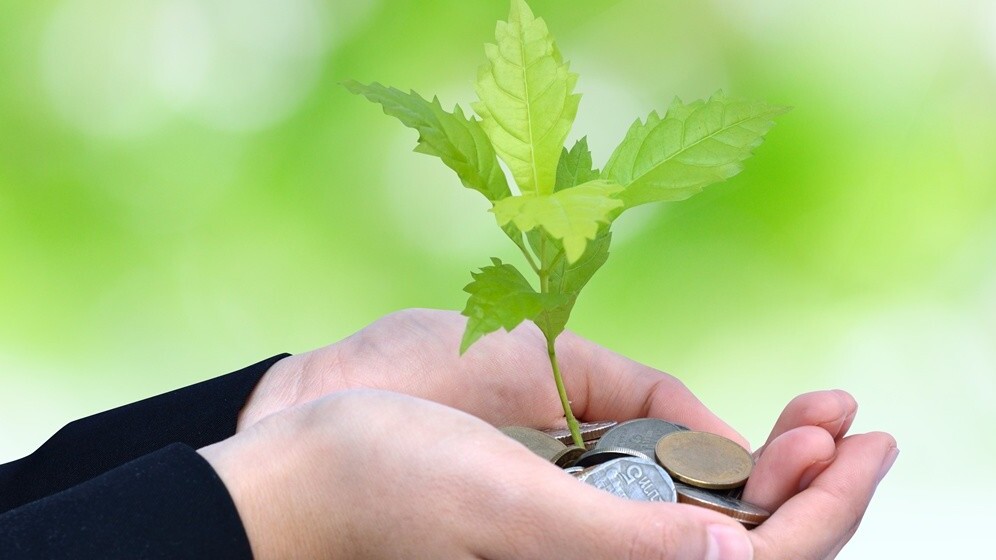 Japan’s GMO Venture Partners focuses on Southeast Asia’s potential with new $12 million fund