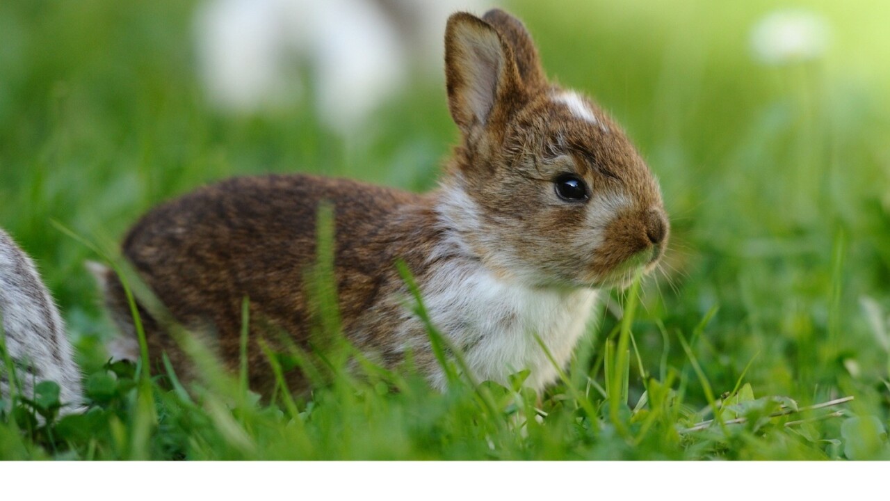 Timehop now lets you import your Twitter archive for an even deeper catalogue of moments