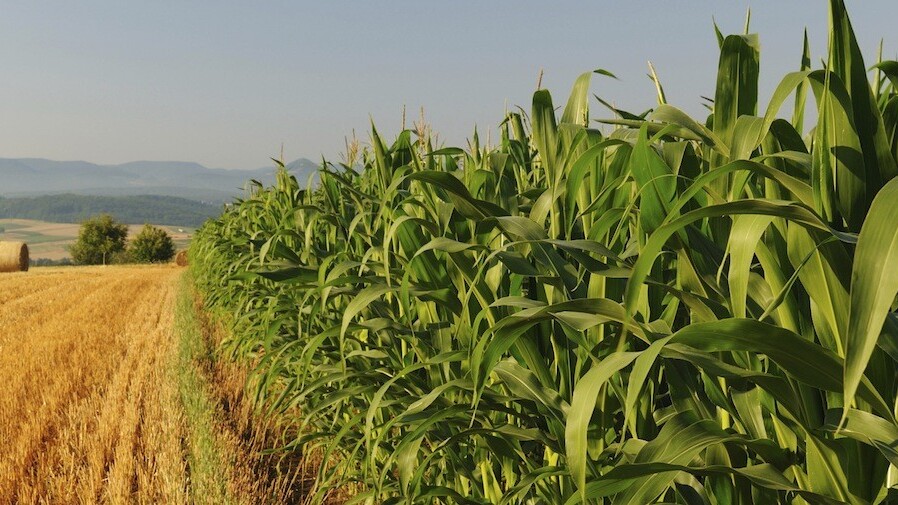 YC alum FarmLogs raises $1m from Huron River and Hyde Park to modernize farming industry