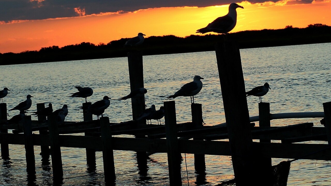 Library of Congress will complete Twitter archive through 2010 this month, now has 170B tweets on file