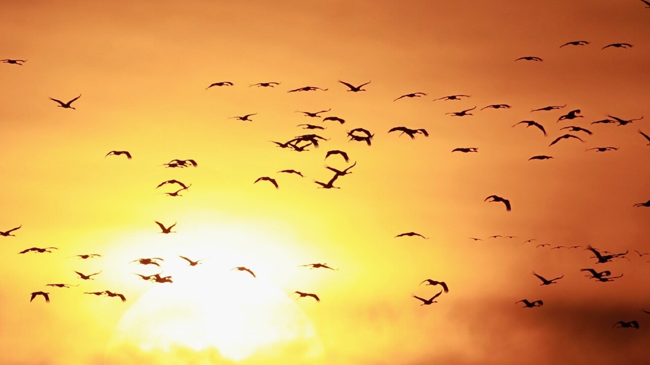 Twitter to open office in Brazil, its second-biggest market after the US in accounts