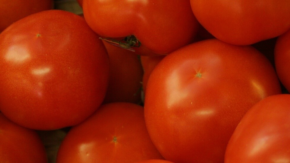 India-based restaurant guide Zomato plates up in London, its first location in Europe