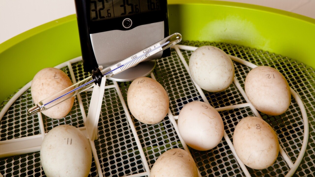 Pearson launches Catalyst, a 3-month education tech startup incubator program