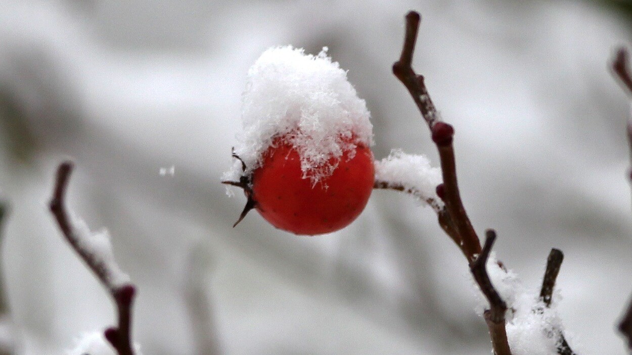 Conditions for iOS is a beautifully simple weather app for where you are