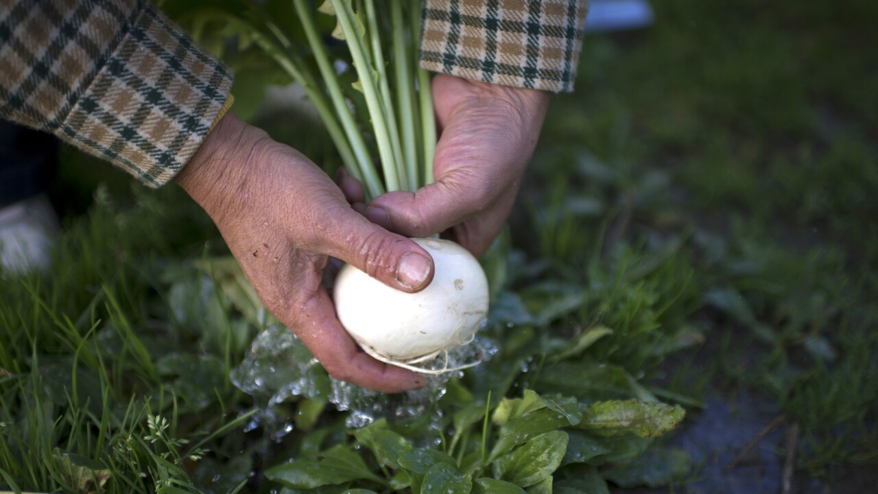 Sprout it teaches you how to grow your own vegetables with harvesting schedules, tasks and reminders