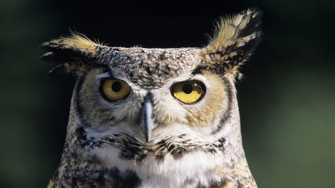 Hootsuite nabs $165M Series B led by Insight Ventures to fuel expansion in Latin America and Europe