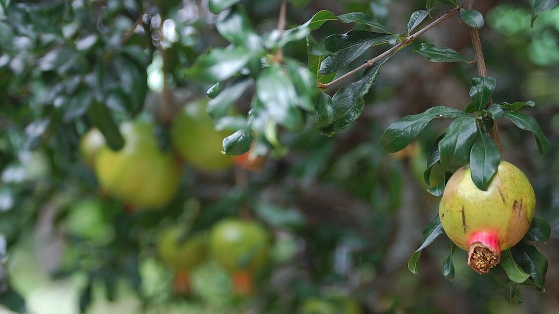 Treehouse nabs $7M, passes 25K students and announces plan to teach high schoolers to code