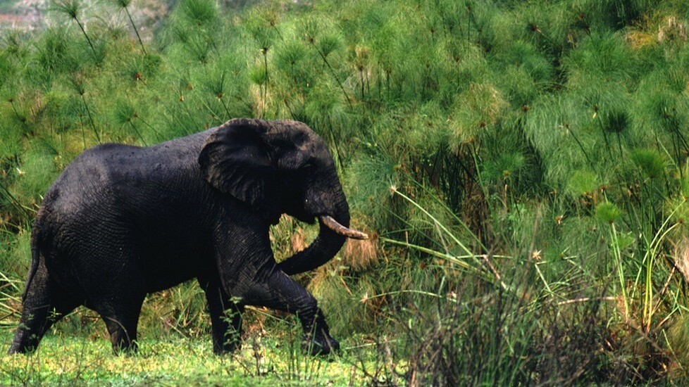 Evernote signs its first operator deal in Southeast Asia as it seeks to deepen its Asia reach