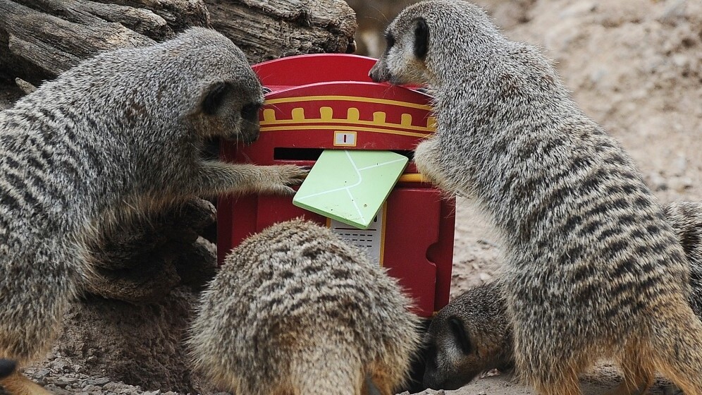 Swedish digital mailbox service Kivra acquires local rival Brevo