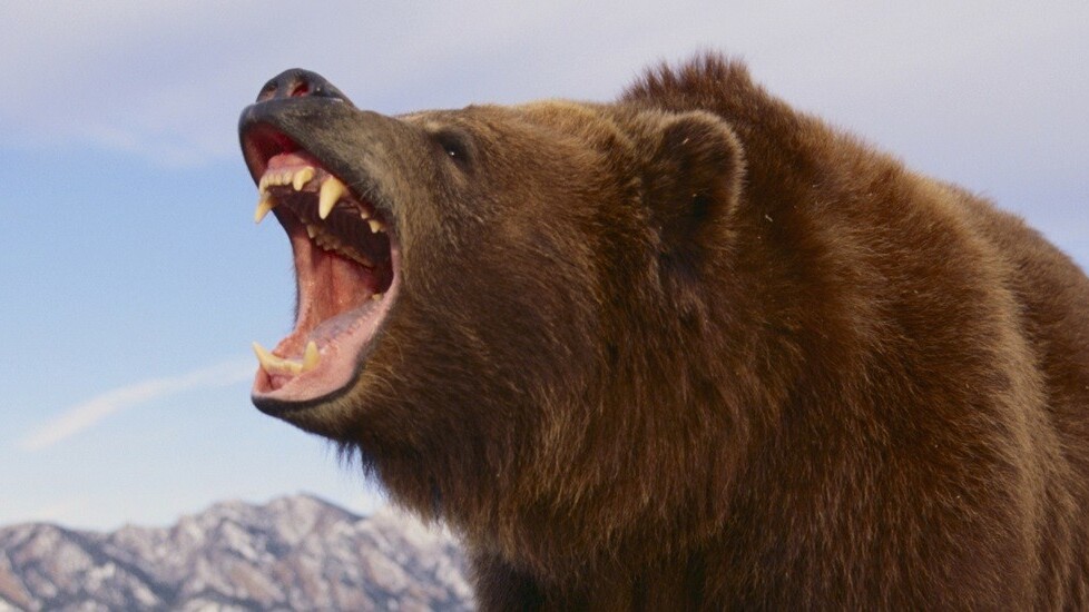 Beautiful VPN service Tunnelbear gains always-on data privacy and performance enhancements