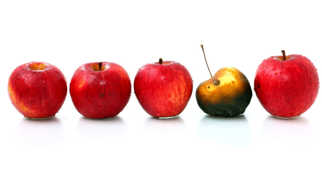 Why dealing with underperforming employees is essential for your startup’s success