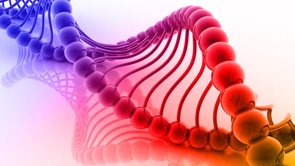 23andMe told to ‘immediately’ stop selling its DNA-testing kits until they are approved by the FDA