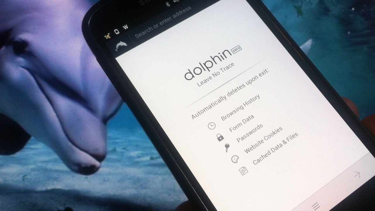 Dolphin goes ephemeral with Zero, a new privacy-focused mobile browser