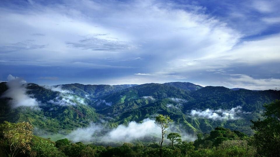 In the heart of the Panamanian jungle, a startup village grows