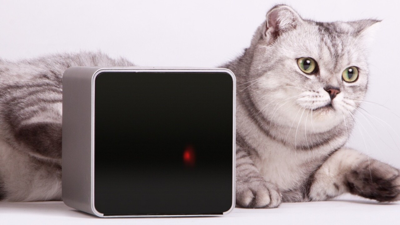 Life after Kickstarter: How Petcube is preparing its pet-focused gadget for the mass market