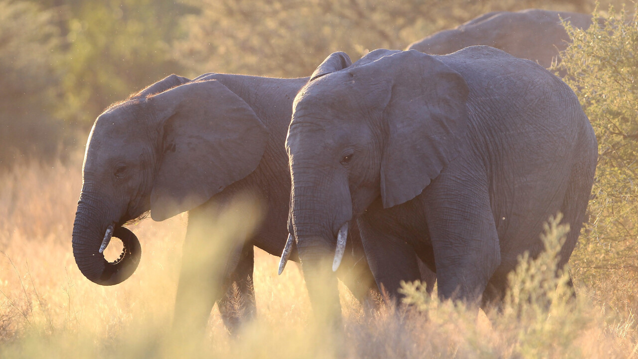 Evernote for iOS updated with better business card scanning and Presentation Mode