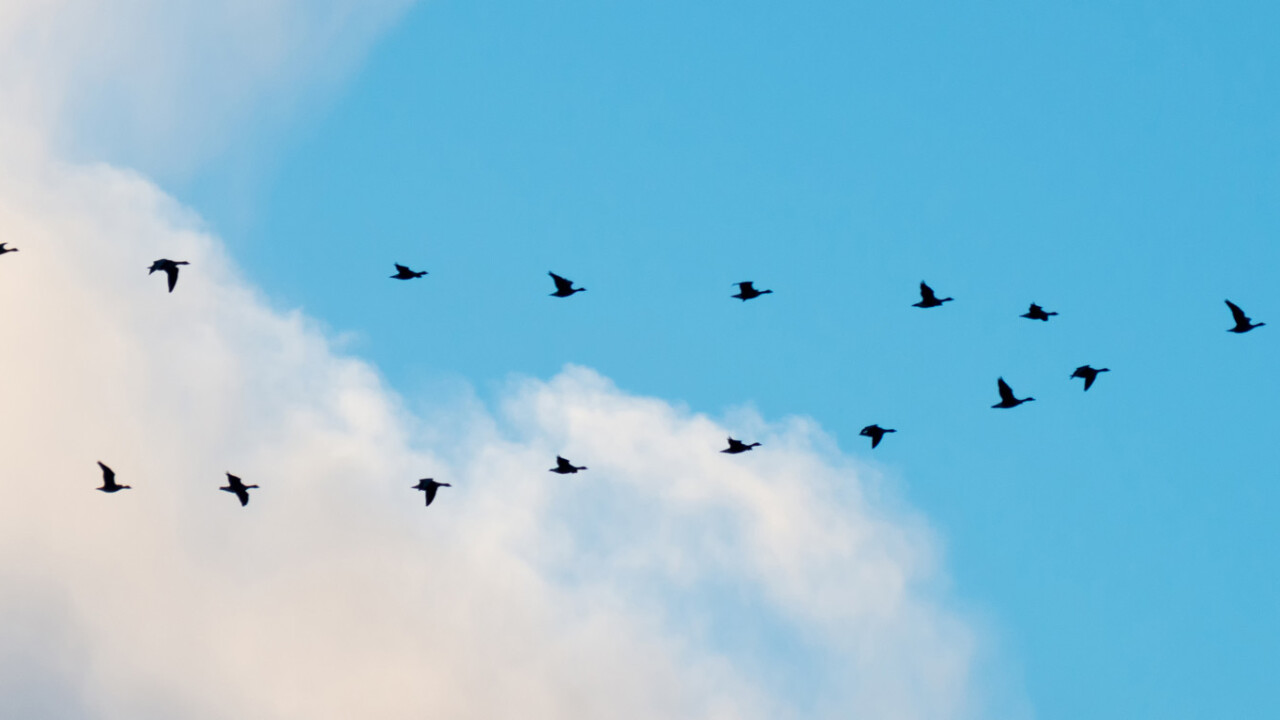 Migrating your application to the cloud