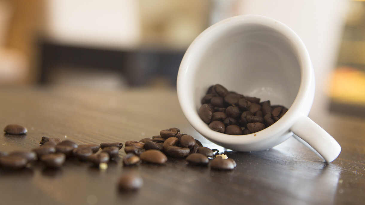 Coffee can wait: 5 lessons your intern really needs to learn this summer