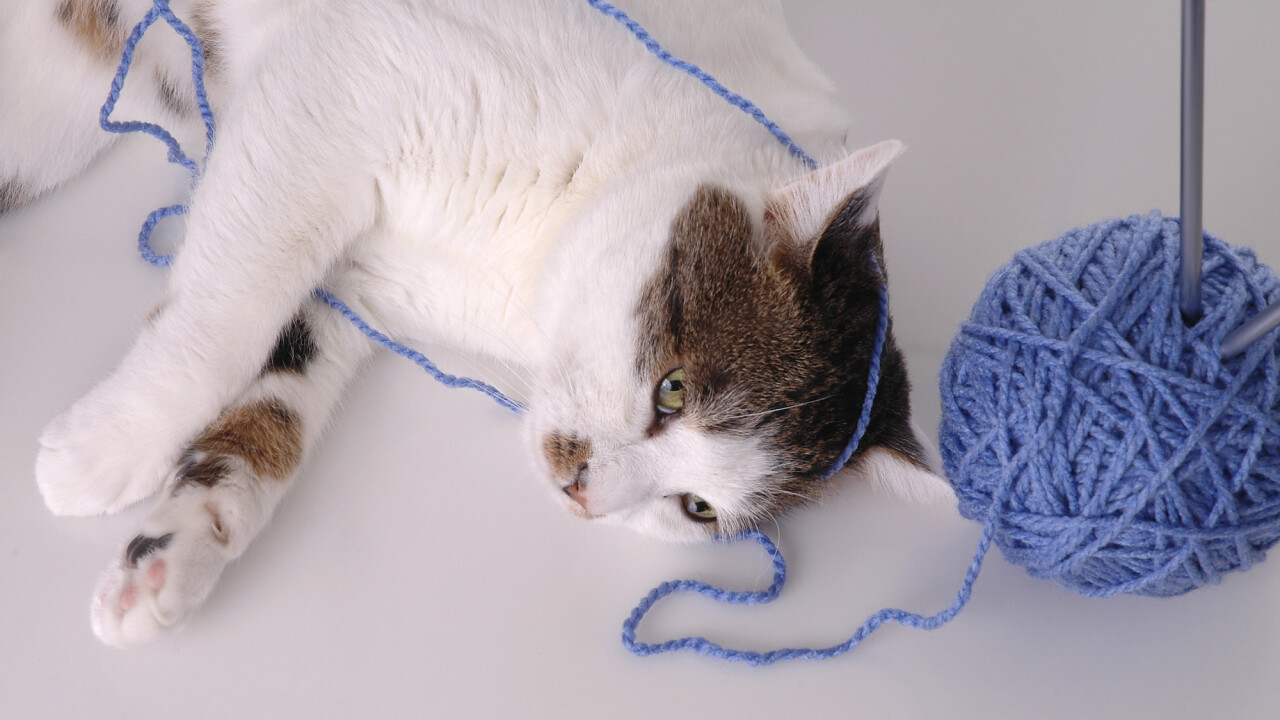 How most startups mess up their marketing