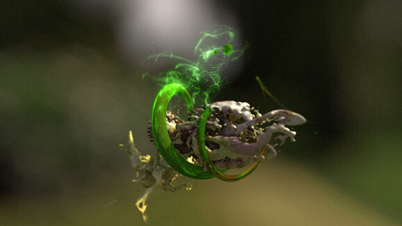 3D bird sound visualization is electrifying