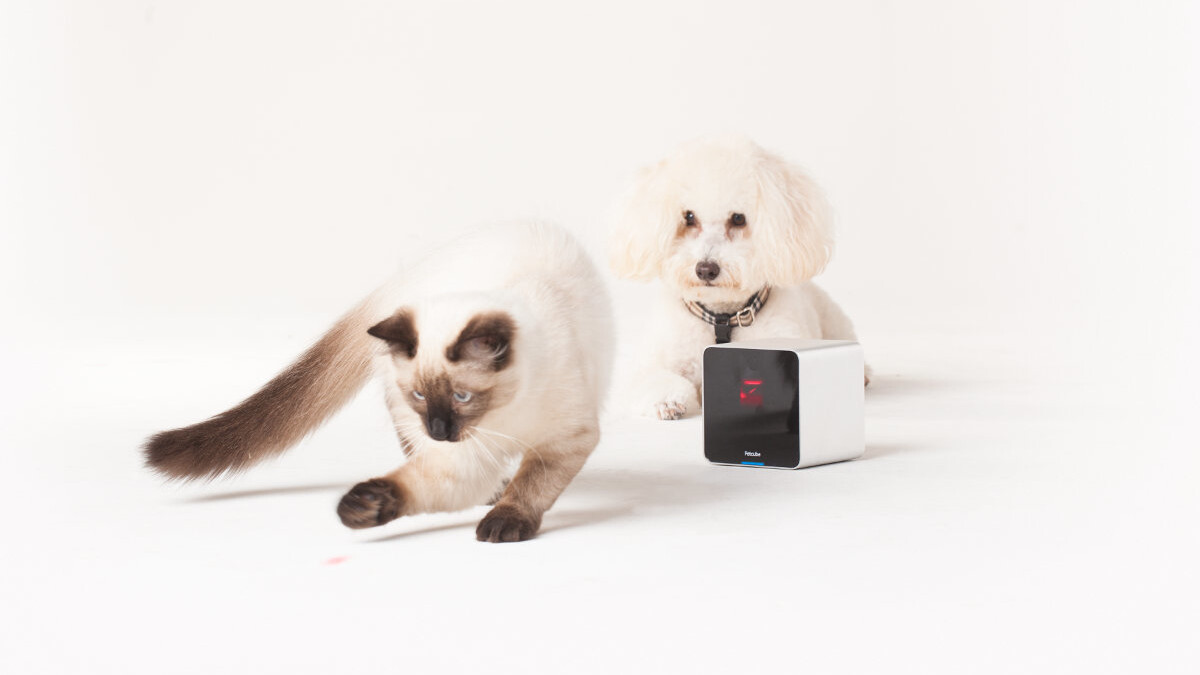 Petcube to start shipping its crowdfunded pet camera in time for Christmas
