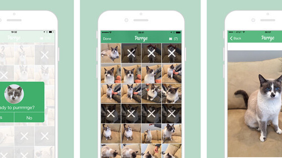 Purrge for iOS lets you remove unwanted photos in fine feline fashion