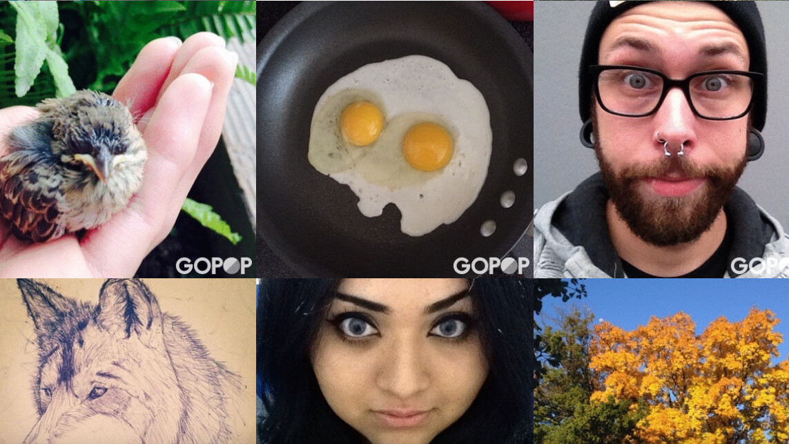 Buzzfeed acquires GoPop because GIFs