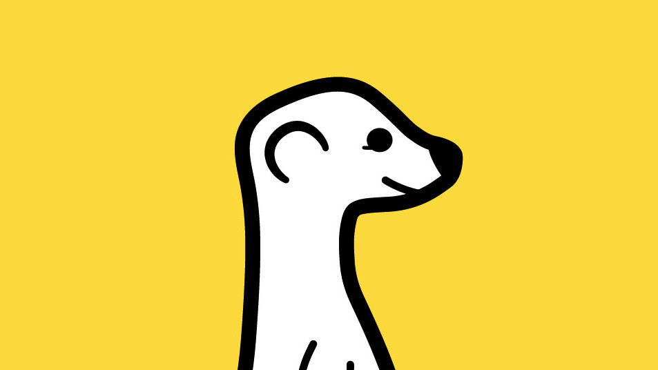 Meerkat for iOS lets you live stream video to your Twitter followers