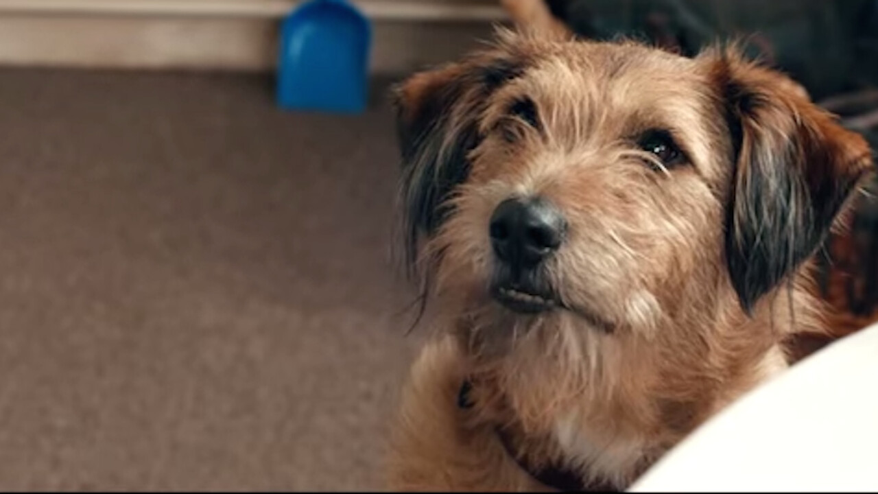 The trailer for Robin Williams’ final movie ‘Absolutely Anything’ is premiering on Snapchat