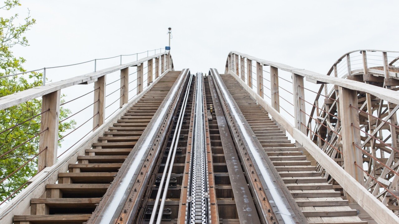 How to survive the entrepreneurial rollercoaster