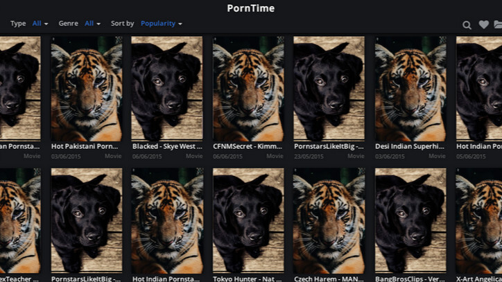 Bad news for the pornographers: Porn Time, the Popcorn Time clone for filth, launches on Android