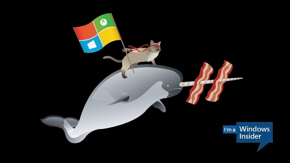Microsoft celebrates Windows 10 by asking users to create ninja cat  wallpapers