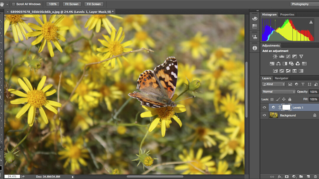 10 Photoshop alternatives that offer powerful editing and photo management controls