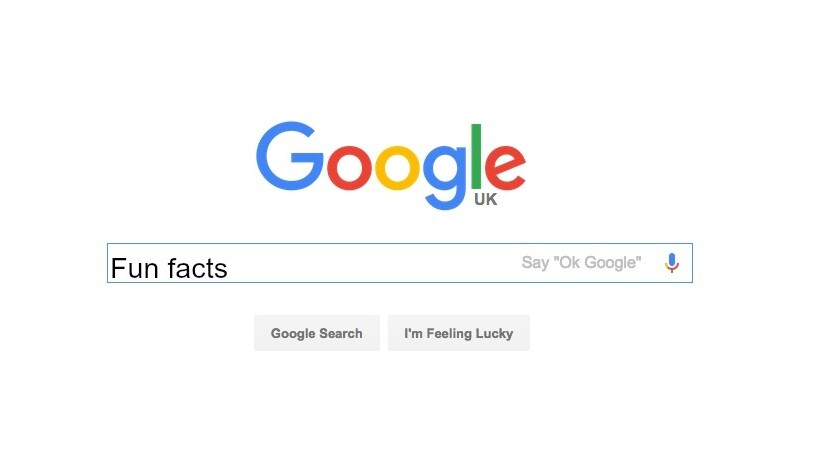 Google’s new ‘Fun Facts’ feature is a procrastinator’s dream