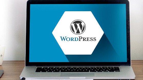 WordPress Wizard bundle, plus 85% off lifetime access to Themes Kingdom and Noun Project icons