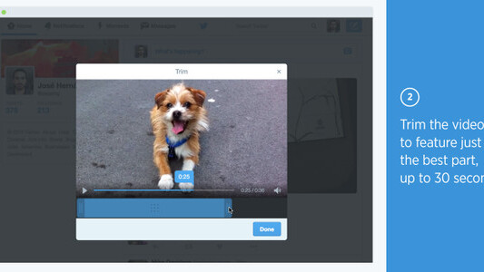 Twitter is really serious about video now