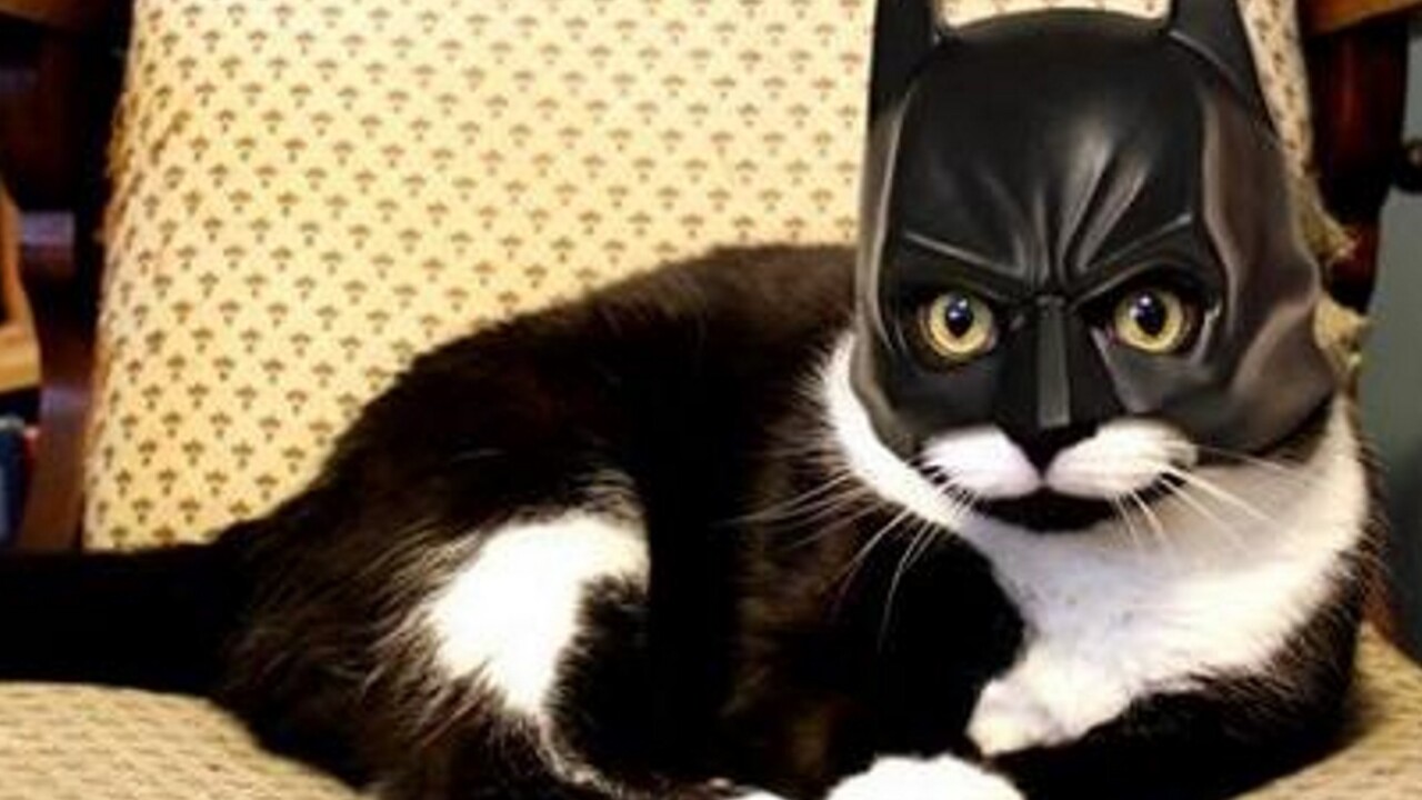 Solidarity over kitty pictures on #BrusselsLockdown hashtag was a great use of Twitter Moments