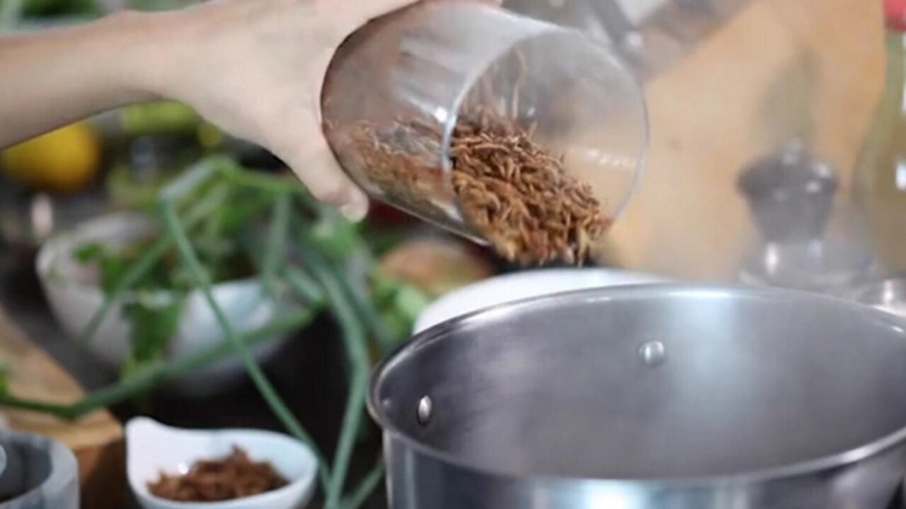 I’m not ready for this insects-for-food Kickstarter campaign