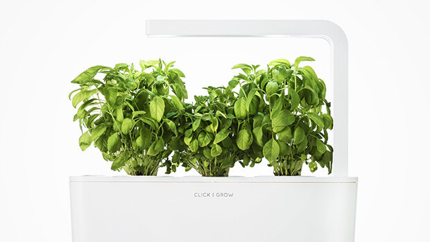 Foolproof green thumb: Smart Herb Garden Starter Kit & 3-pack refill now 24% off