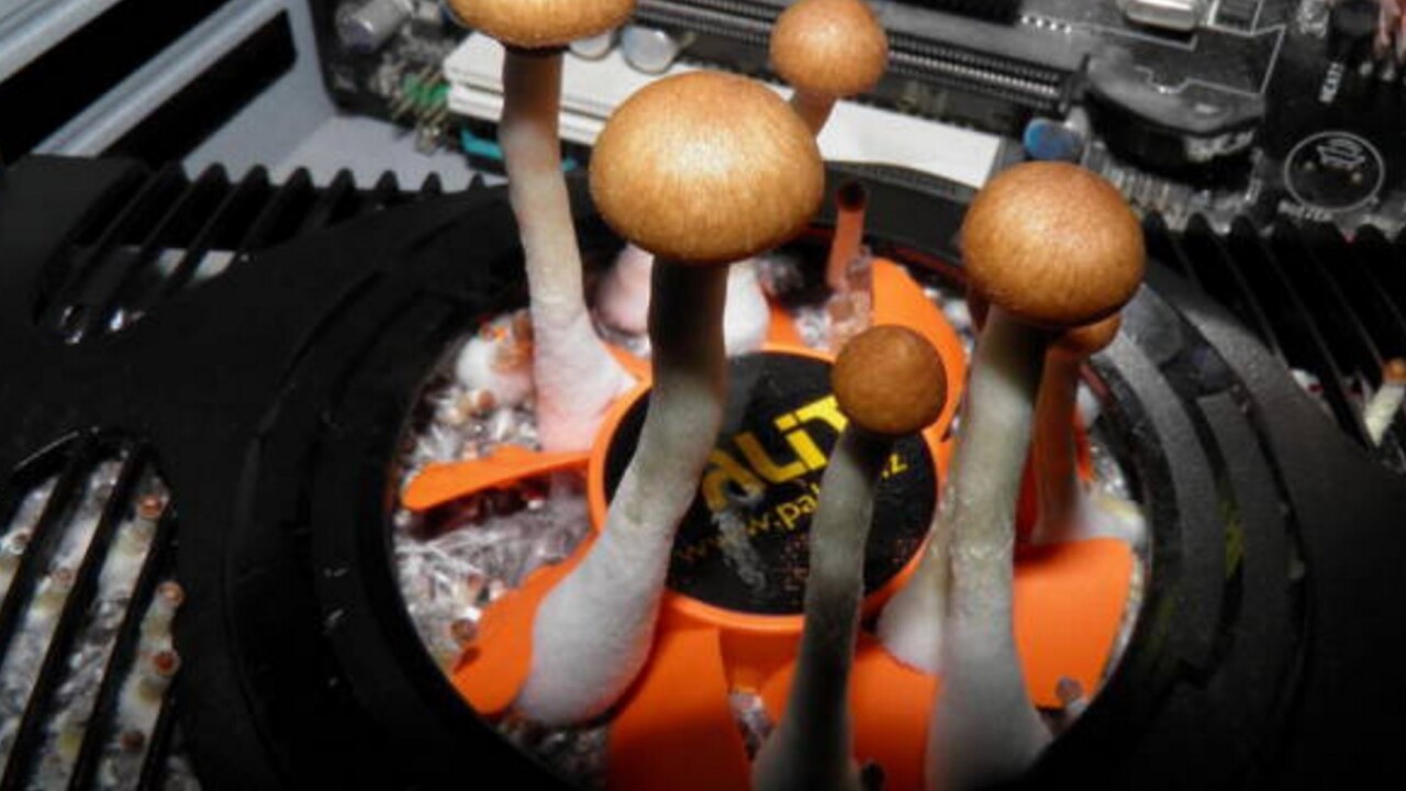 PSA: If you don’t want to grow shrooms in your GPU, you should probably clean your computer