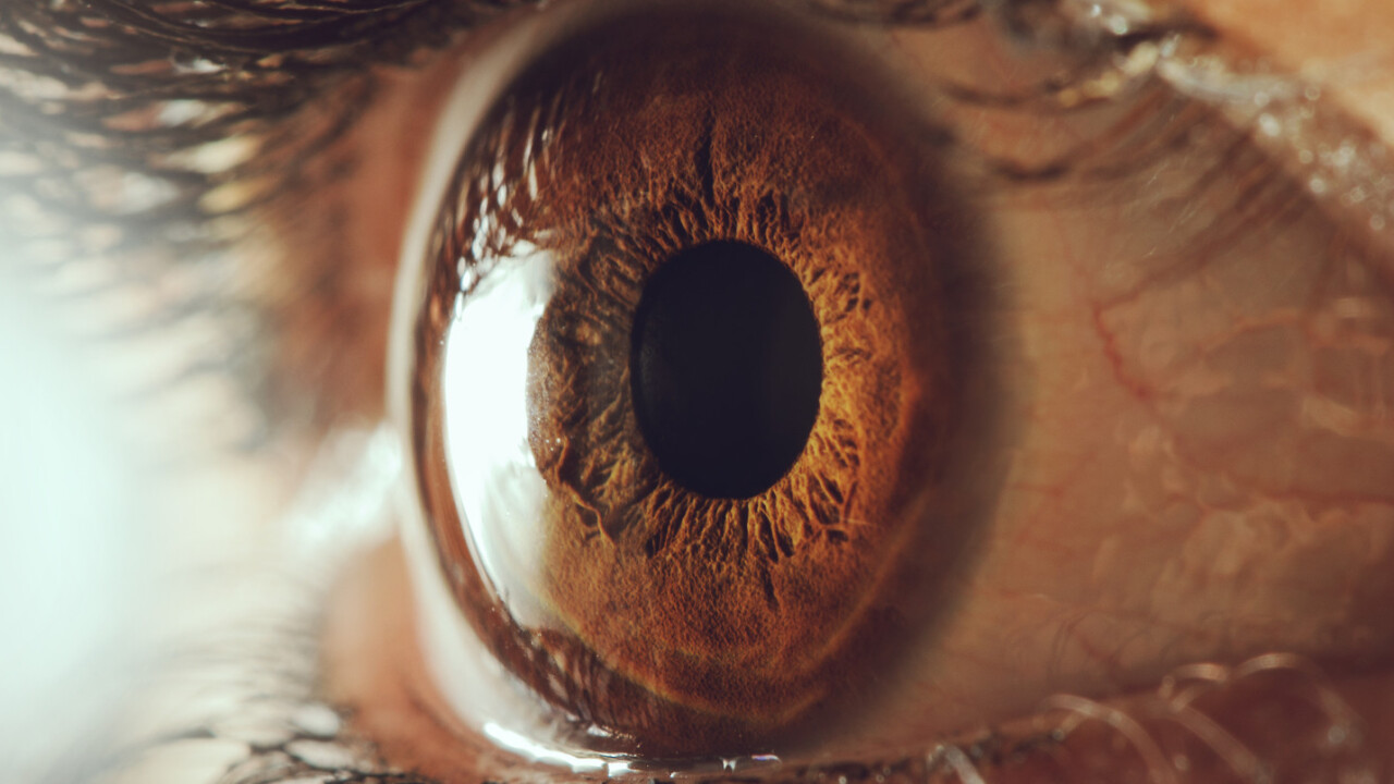 Bionic eye could ‘cure’ blindness by bypassing retina entirely