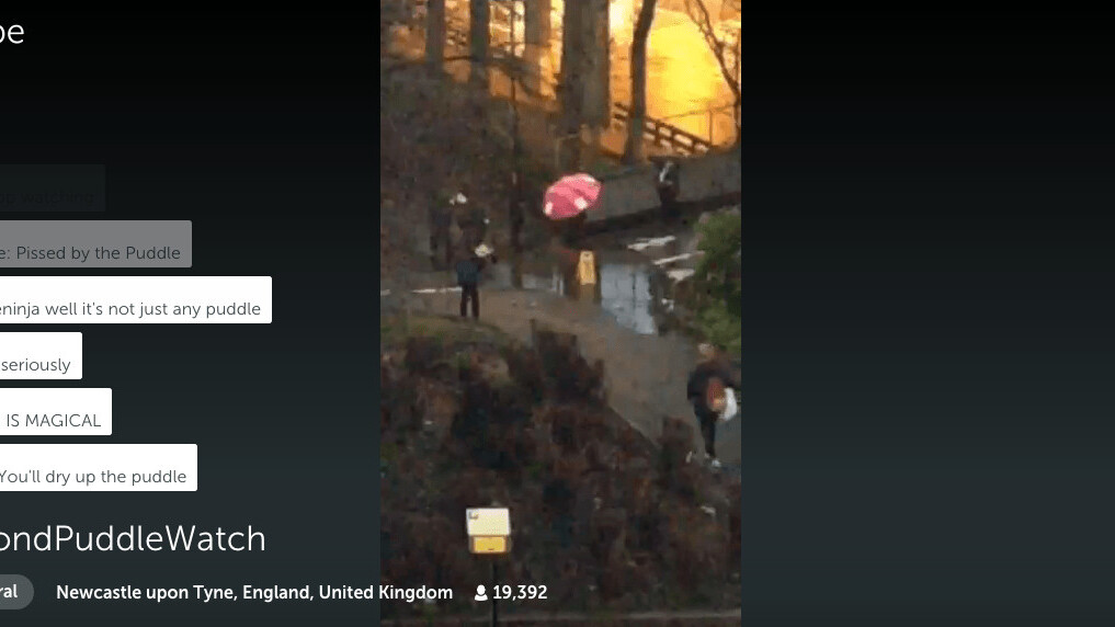 #DrummondPuddleWatch: 19,000 people in the UK watched a live stream of a puddle